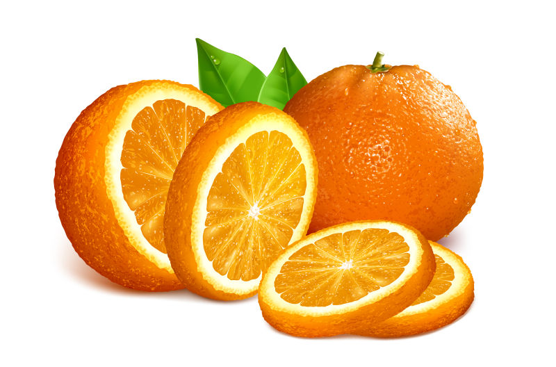 橙子矢量插图