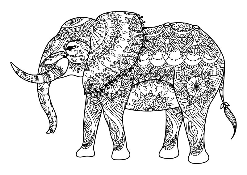 矢量的手绘大象插图