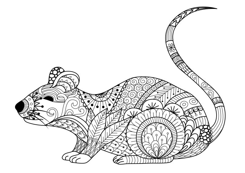 艺术花纹的老鼠插图矢量设计