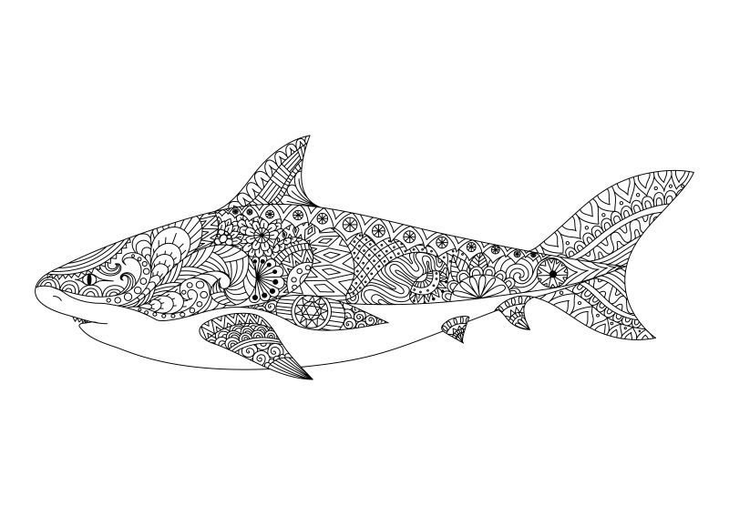 手绘鲨鱼插图矢量设计
