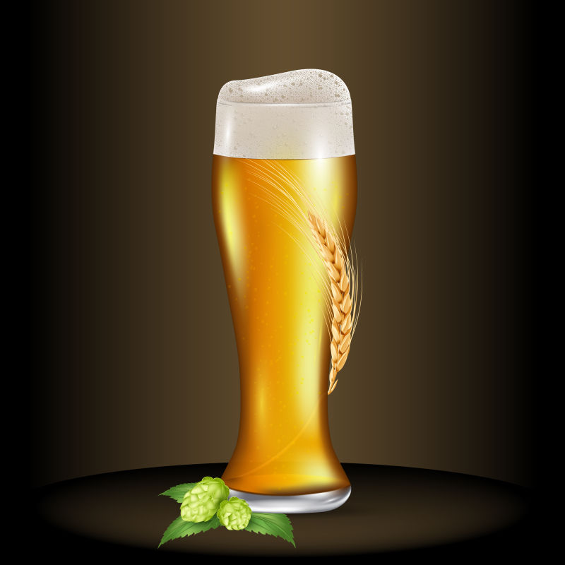 矢量的小麦啤酒插图