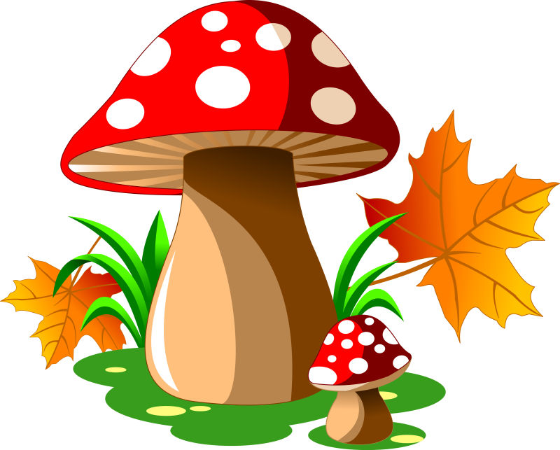 卡通的红蘑菇矢量插图