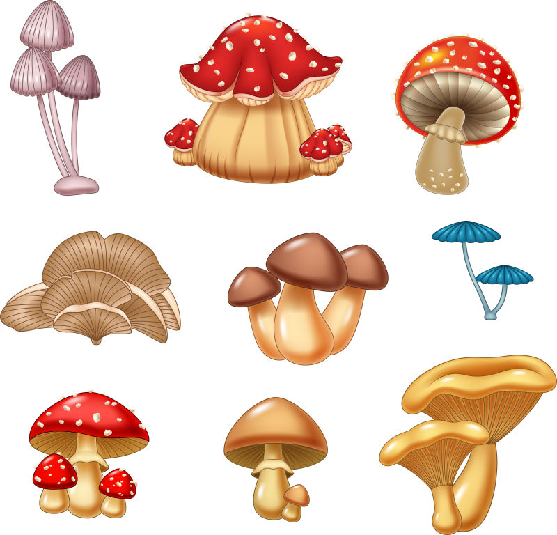 红色蘑菇插图矢量设计