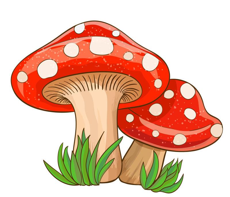 红蘑菇简笔画图片