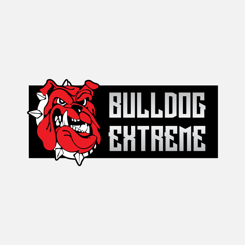 满脸怒气的牛头犬