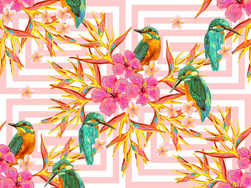抽象矢量热带鸟类和花卉元素装饰背景设计