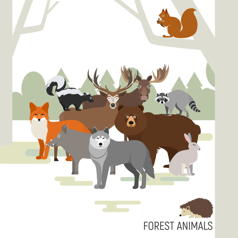 矢量森林的卡通动物