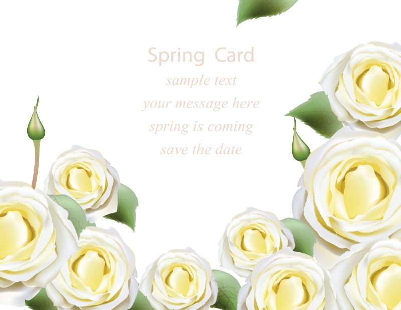 矢量白色玫瑰装饰背景