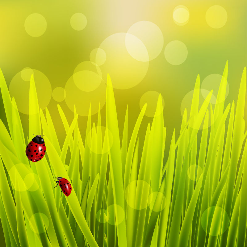 创意矢量绿草元素的春季背景设计