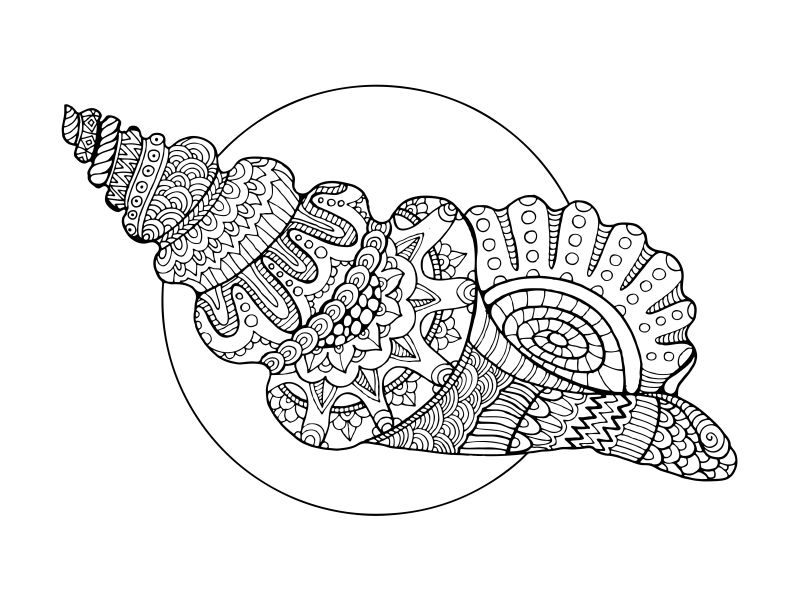 創意矢量卡通貝殼線條填色插圖