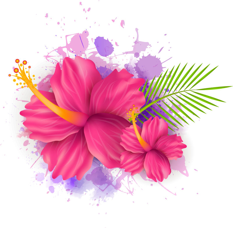 抽象矢量美丽夏季花卉元素设计背景