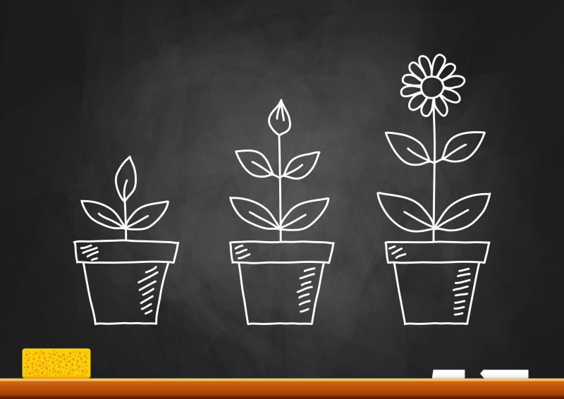 矢量的粉笔花盆