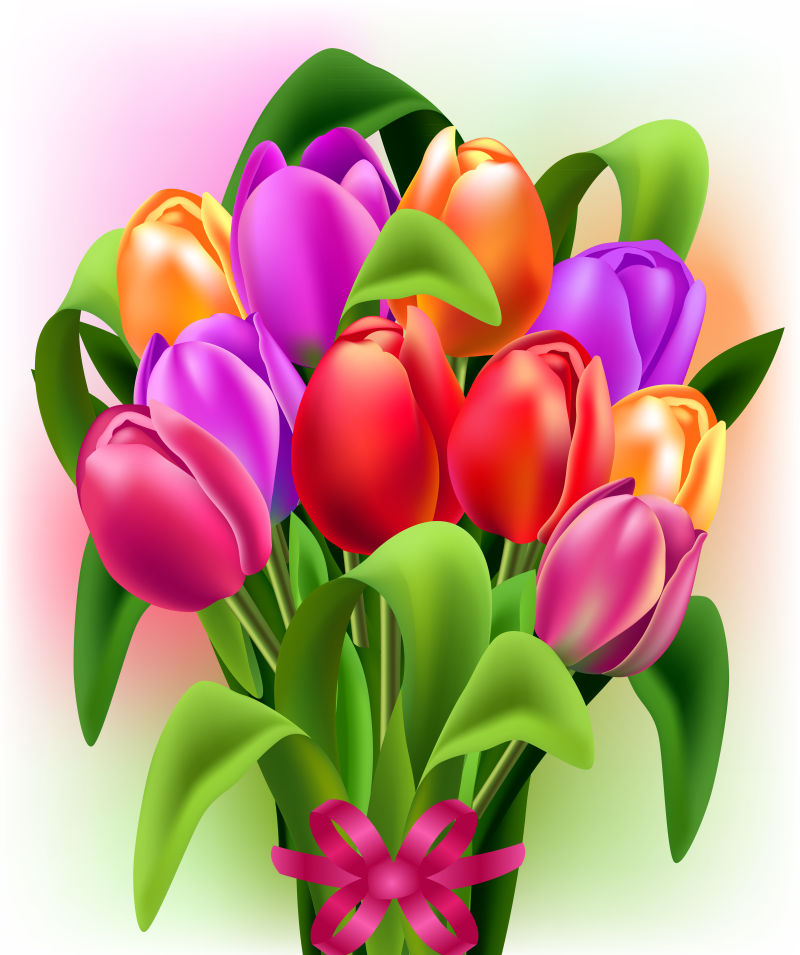 矢量彩色的郁金香花束