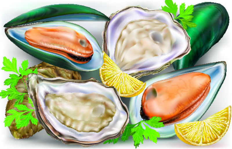 矢量新鲜海鲜