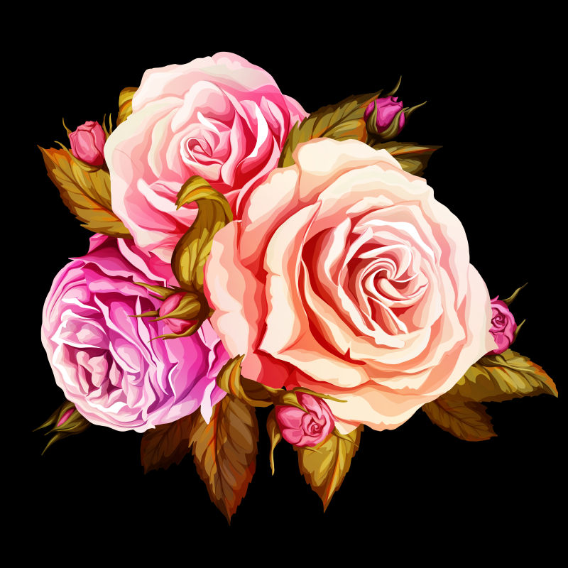 抽象矢量玫瑰花卉的设计元素