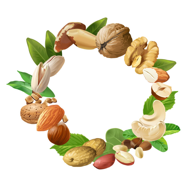 创意矢量坚果元素的横幅背景