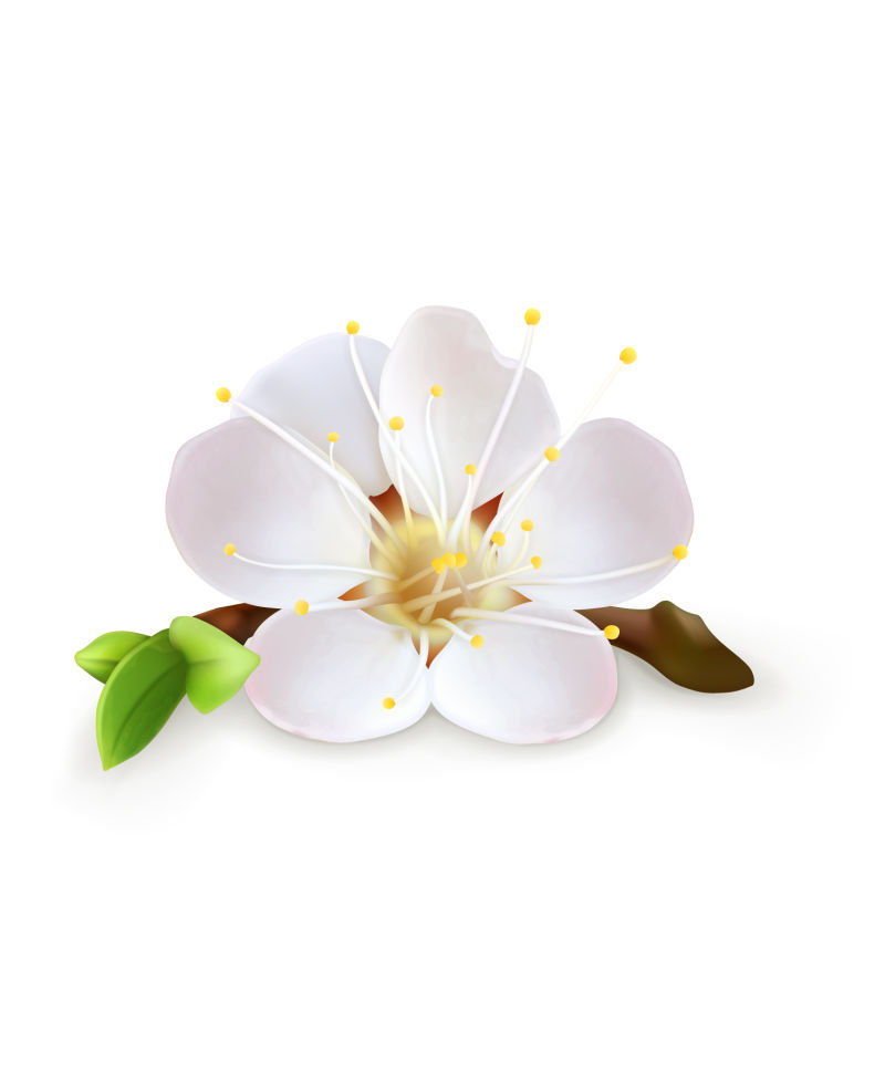 抽象矢量白色花卉设计