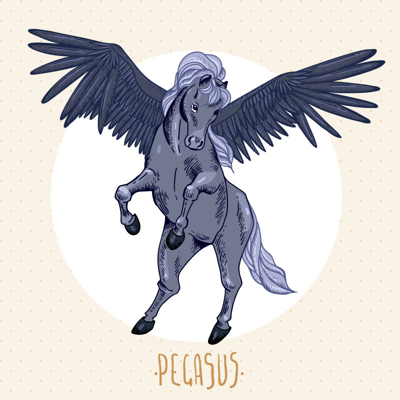 矢量的黑色飞马插图