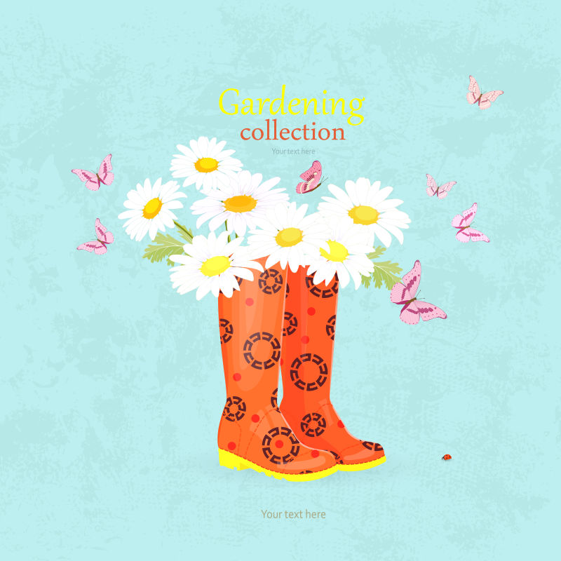 矢量的雏菊插图