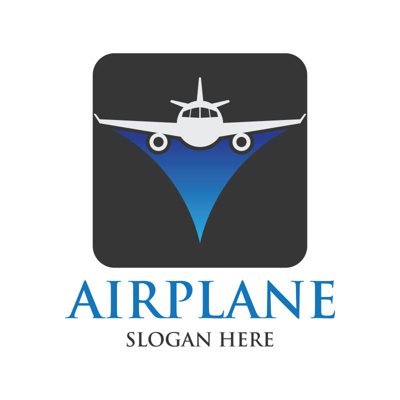 矢量夜间的飞机标志