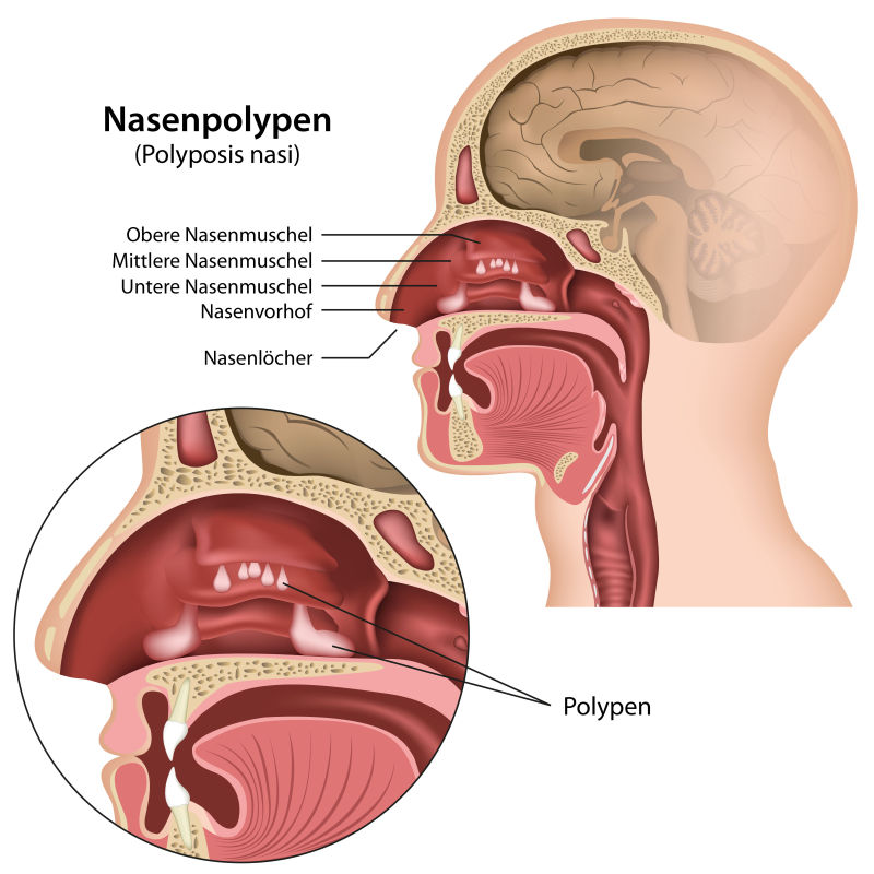 抽象矢量人体解剖学的平面插图
