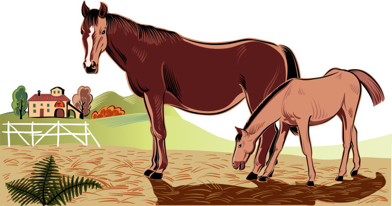 抽象矢量马带着小马插图设计