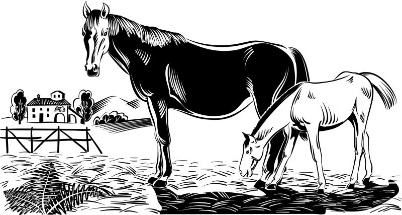 抽象矢量农场中的马设计插图
