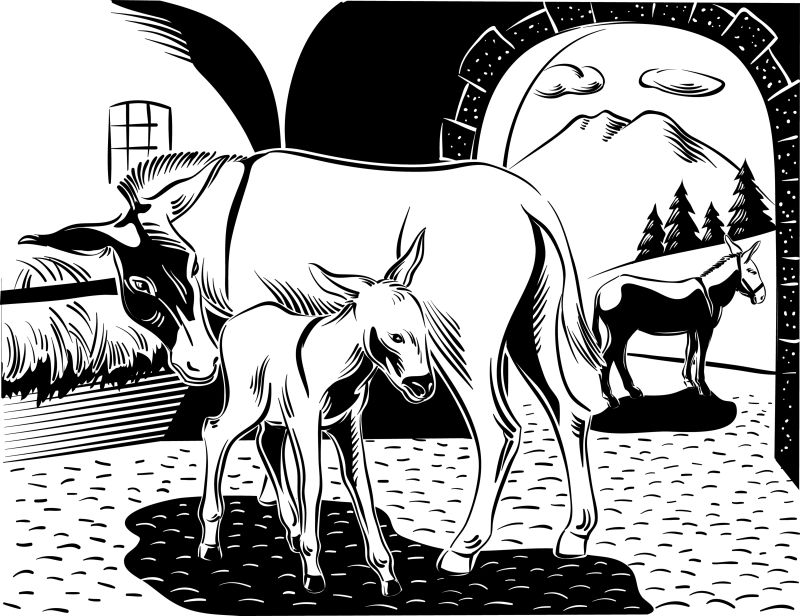 抽象矢量卡通驴子母子插图