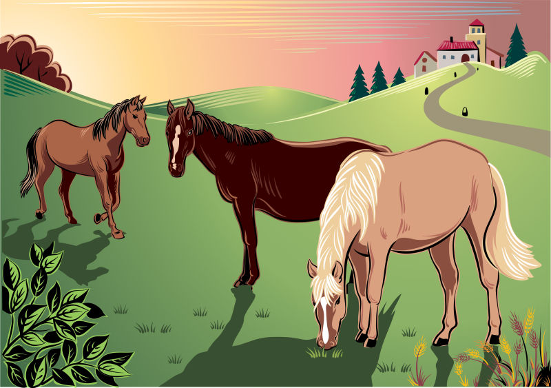 创意矢量卡通草地上的马群插图