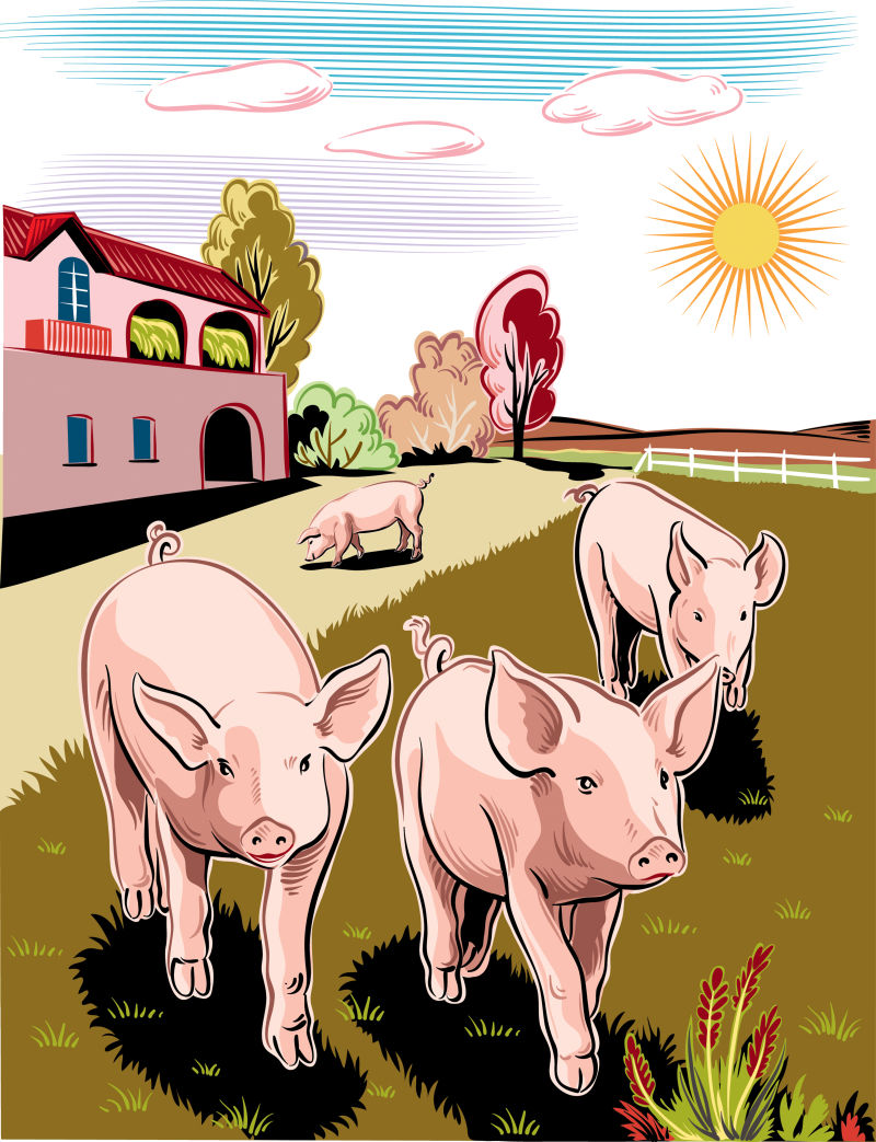 抽象矢量卡通农场中饲养的猪插图