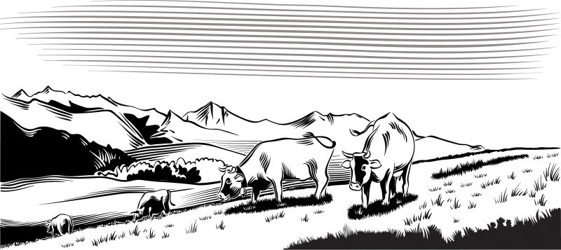 创意矢量草地上吃草的动物插图