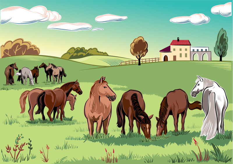 创意矢量卡通农场中的牛插图