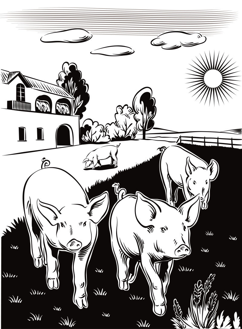 抽象矢量卡通农场里的猪插图