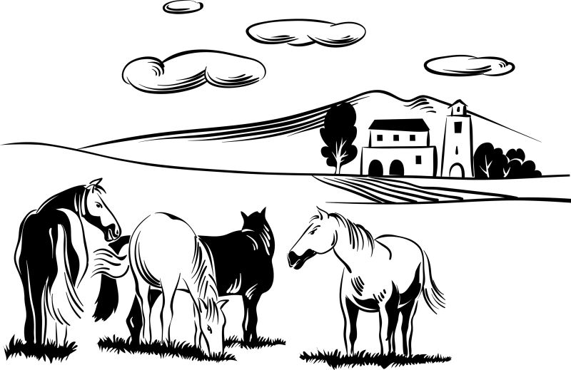 图片 插画 创意矢量卡通农场中的牛插图