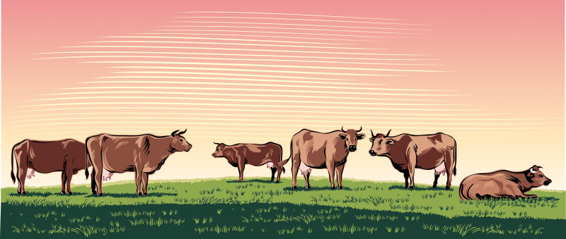 创意矢量卡通农场中的牛插图