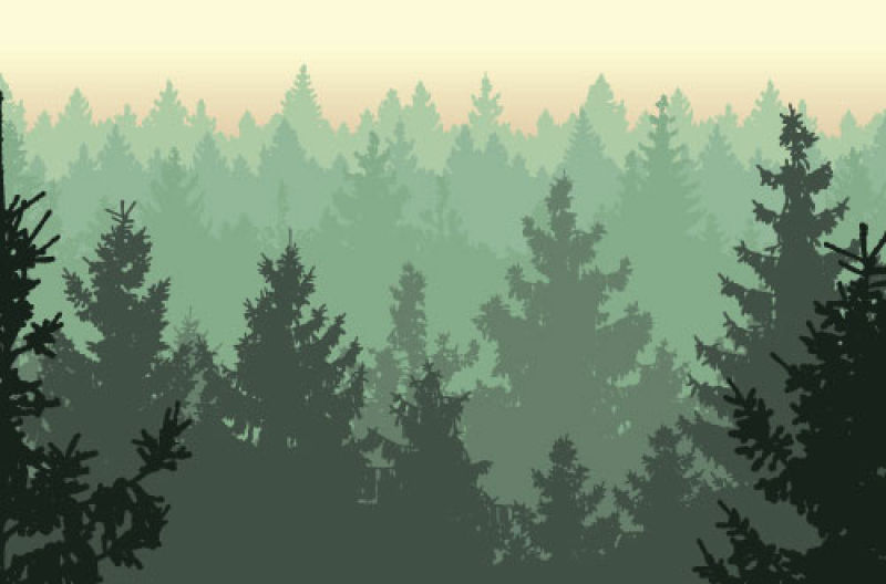 矢量的墨绿色森林背景图片 墨绿色森林背景矢量设计素材 高清图片 摄影照片 寻图免费打包下载