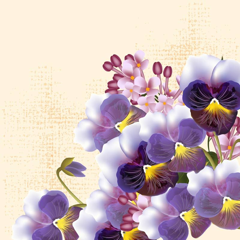 矢量美丽花卉元素的设计现代背景