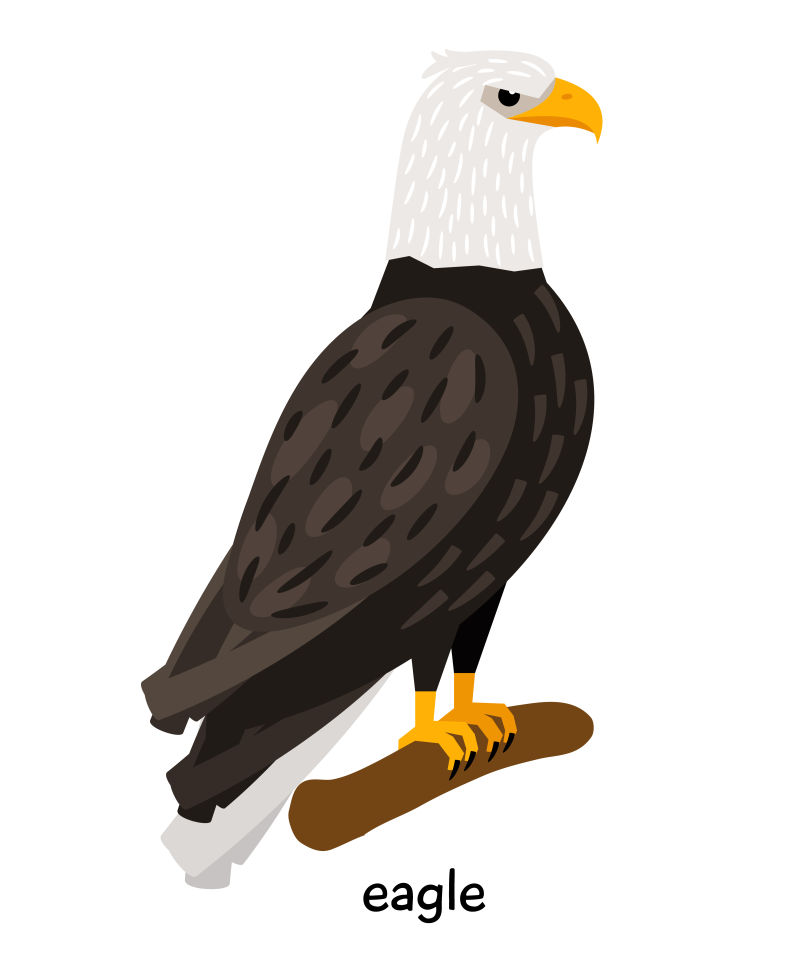 矢量站在枝干上的鹰