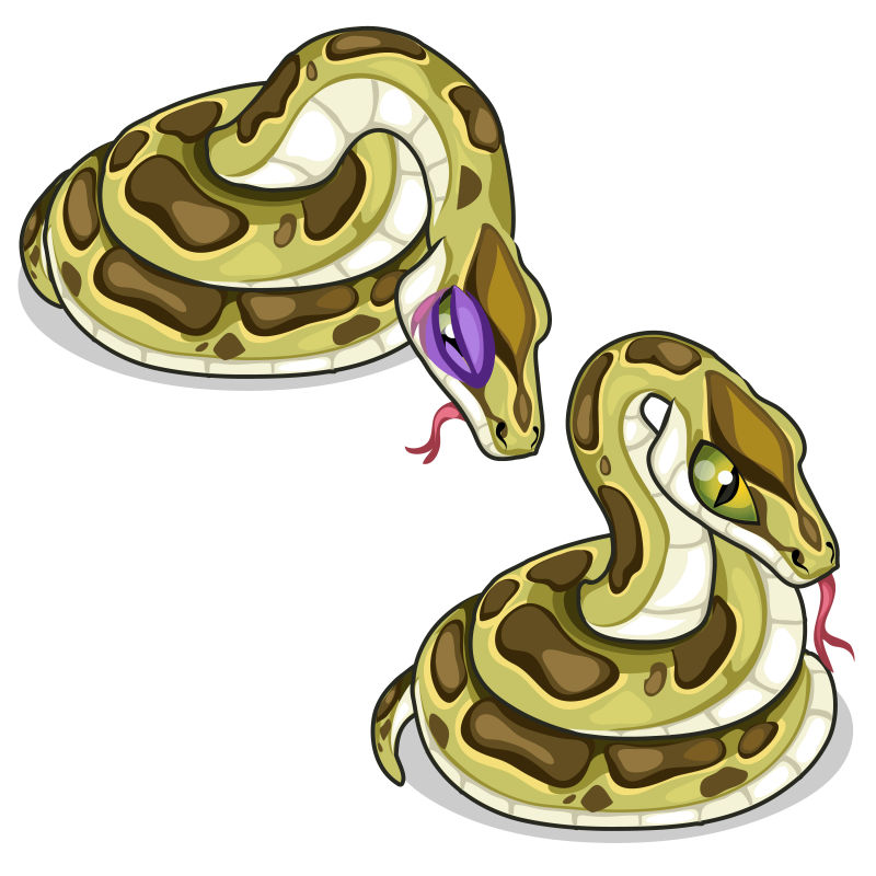七绝山蟒蛇漫画图片