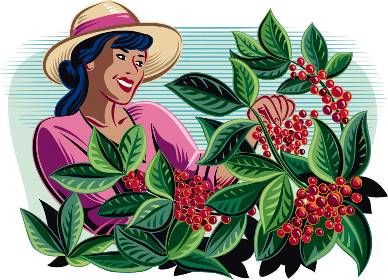 创意矢量卡通种植咖啡的人插图