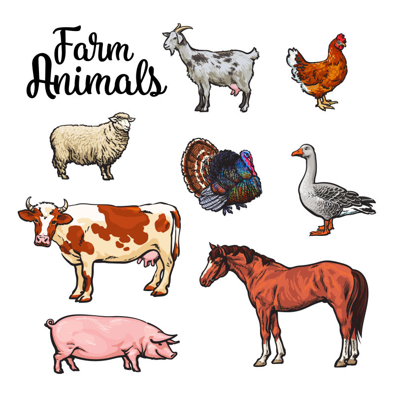 创意矢量卡通手绘农场动物插图