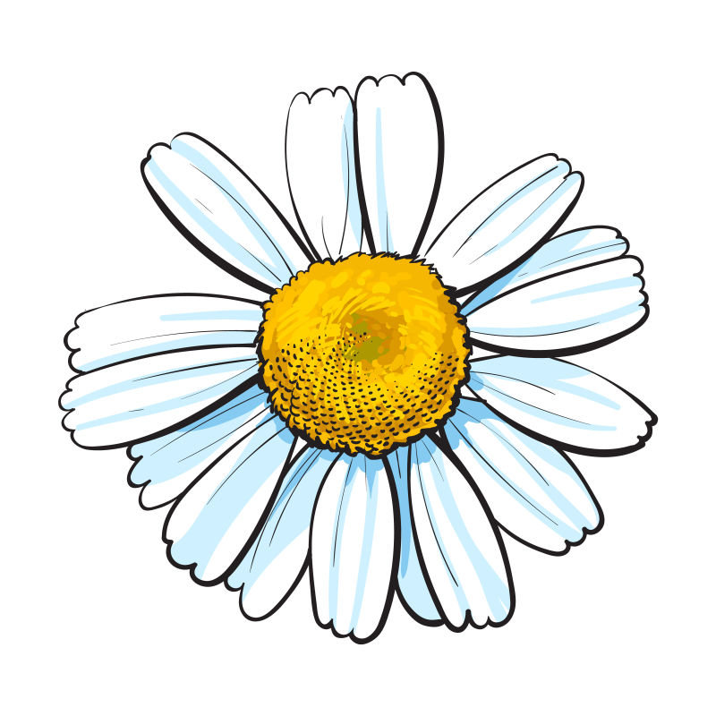 创意矢量纸片风格的雏菊插图