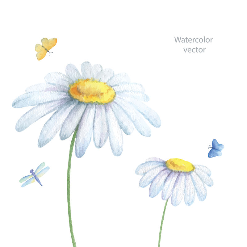 创意矢量手绘雏菊插图