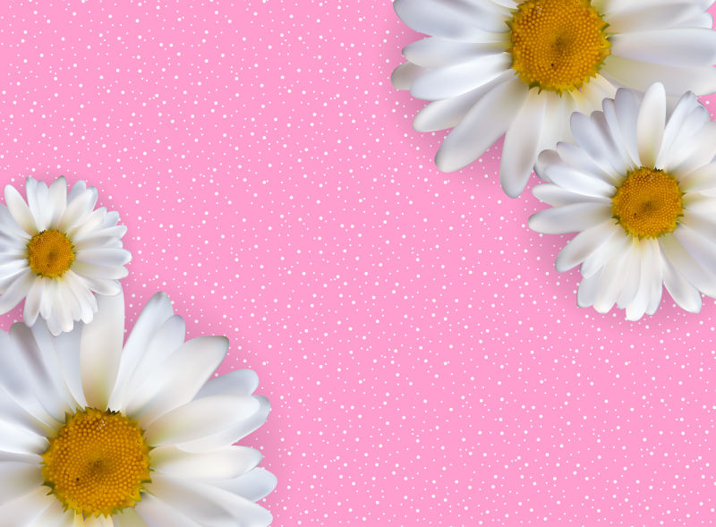 创意矢量手绘风格的雏菊元素背景