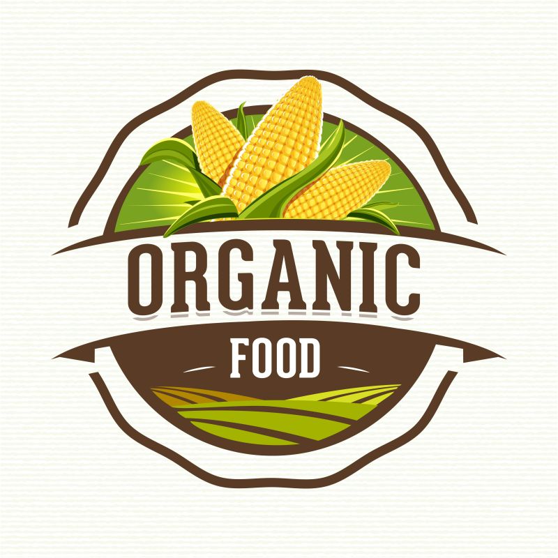 抽象有机食品的矢量平面徽章设计