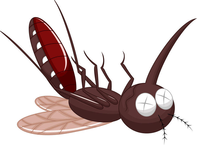 抽象矢量邪恶的蚊子卡通插图
