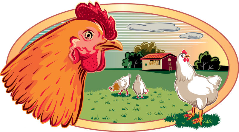抽象矢量平面公鸡插图