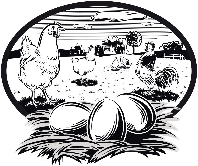 抽象矢量现代公鸡平面插图