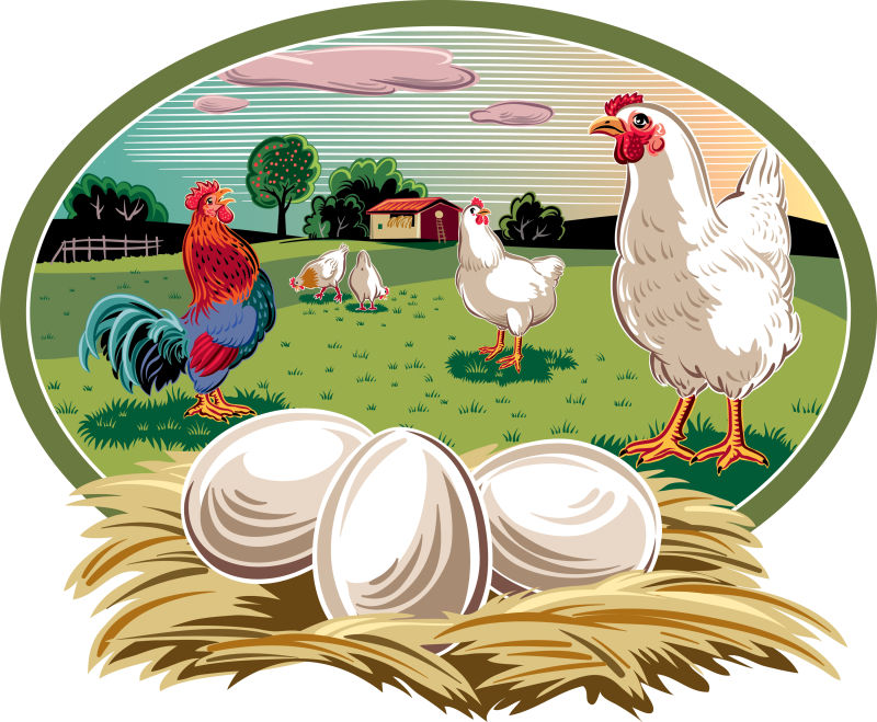 抽象矢量现代公鸡的平面插图