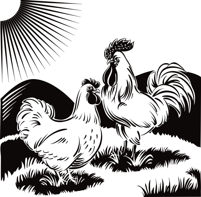 创意矢量现代公鸡平面插图